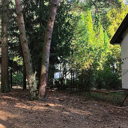 544 Tatil Evi Kaminsko