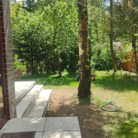 Ferienhaus 544
