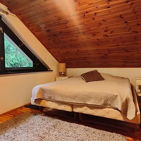 Ferienhaus 544 Kaminsko